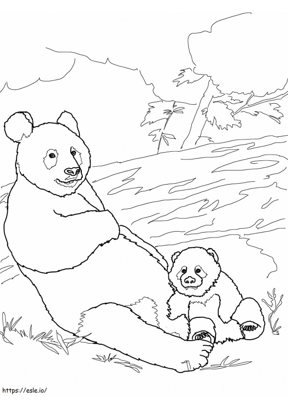 Coloriage Mère avec bébé Panda à imprimer dessin