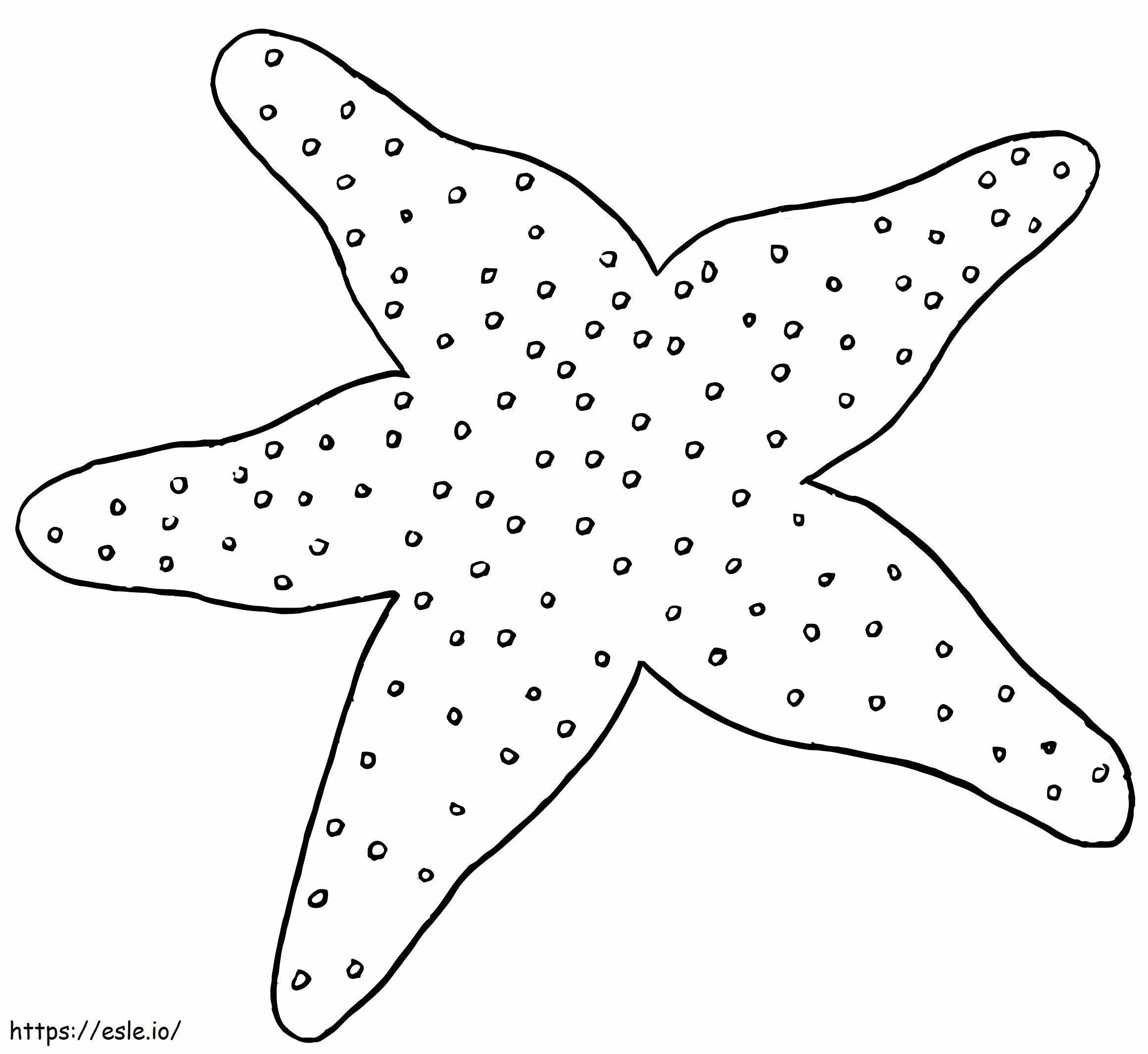 estrella de mar normal para colorear