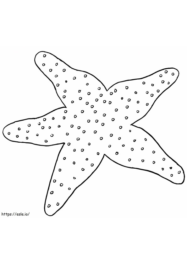 Coloriage Étoile de mer normale à imprimer dessin