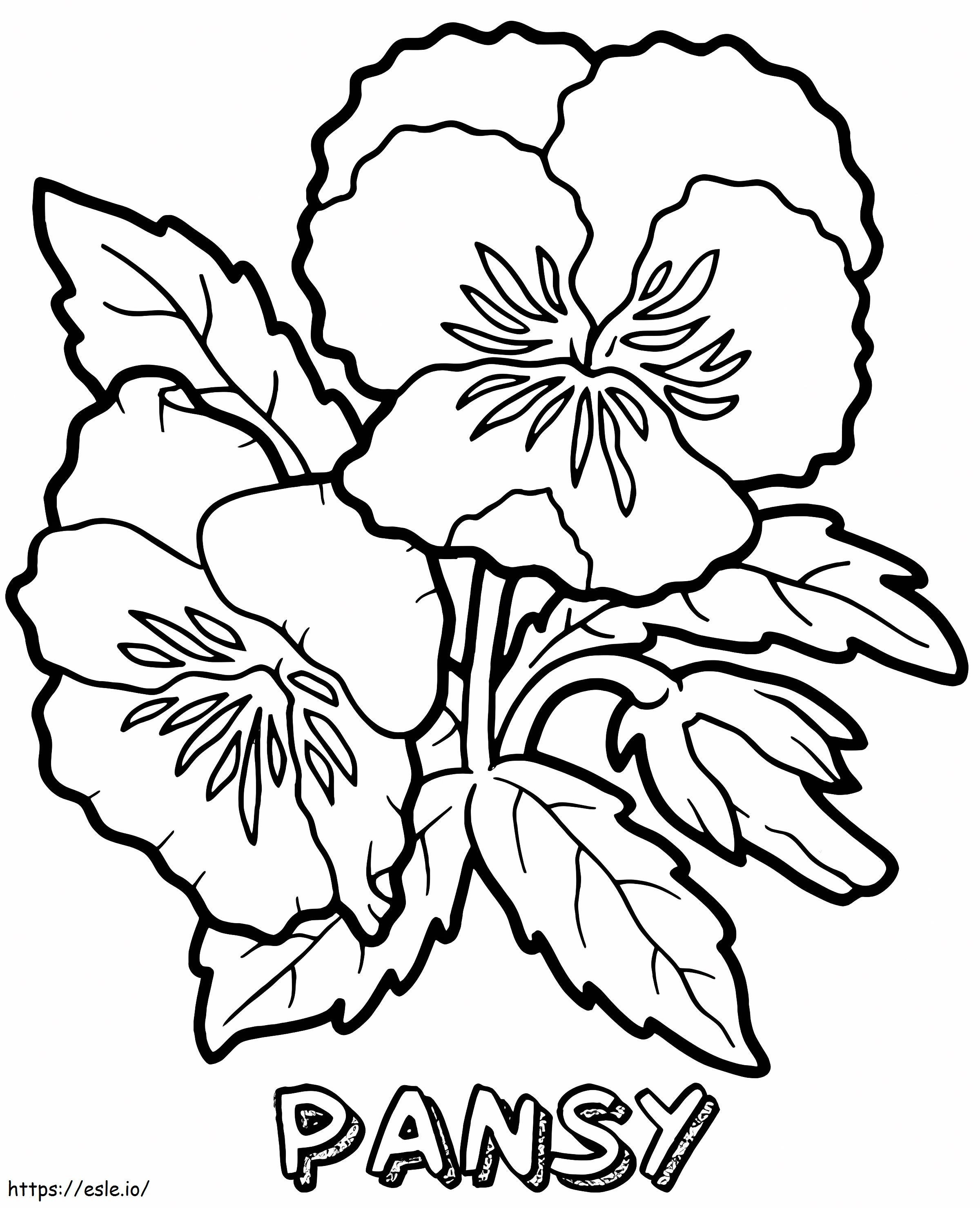 Stiefmütterchenblume ausmalbilder
