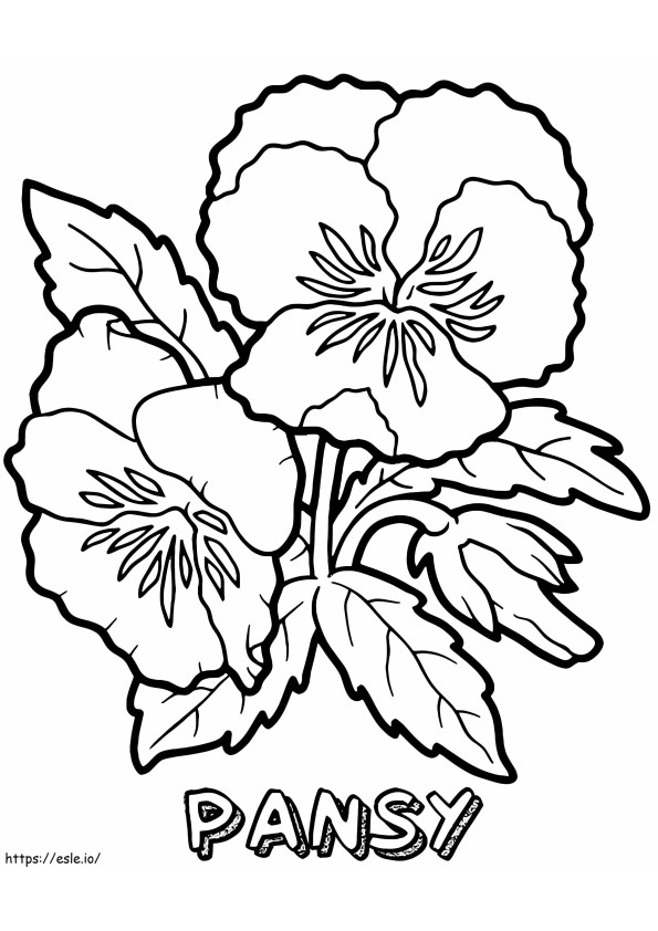 Pansy Flower coloring page