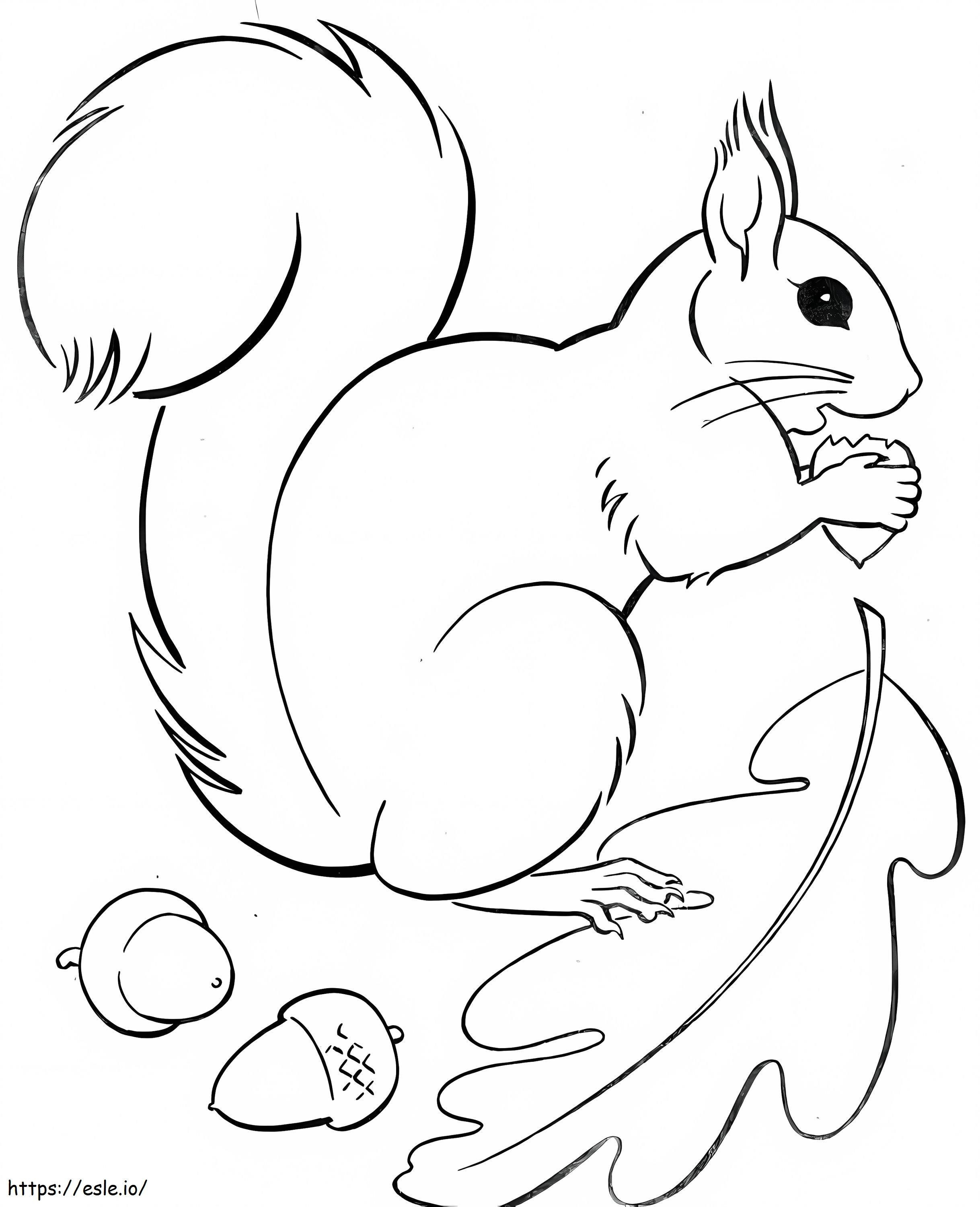 Squirrel And Acorn With Leaf coloring page