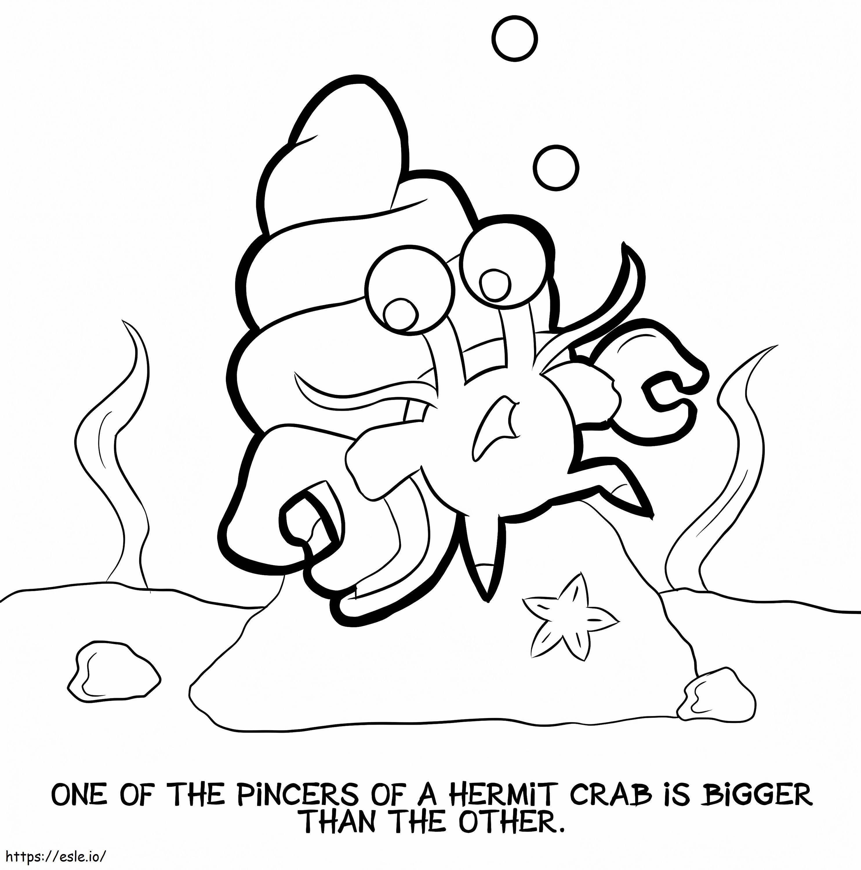 Cute Hermit Crab Under The Sea coloring page