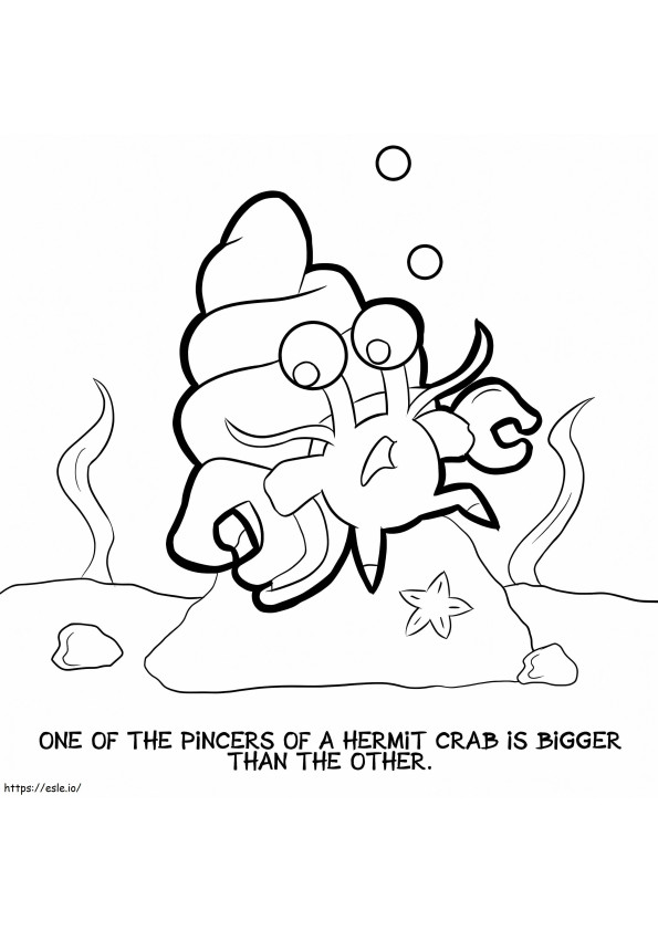 Cute Hermit Crab Under The Sea coloring page