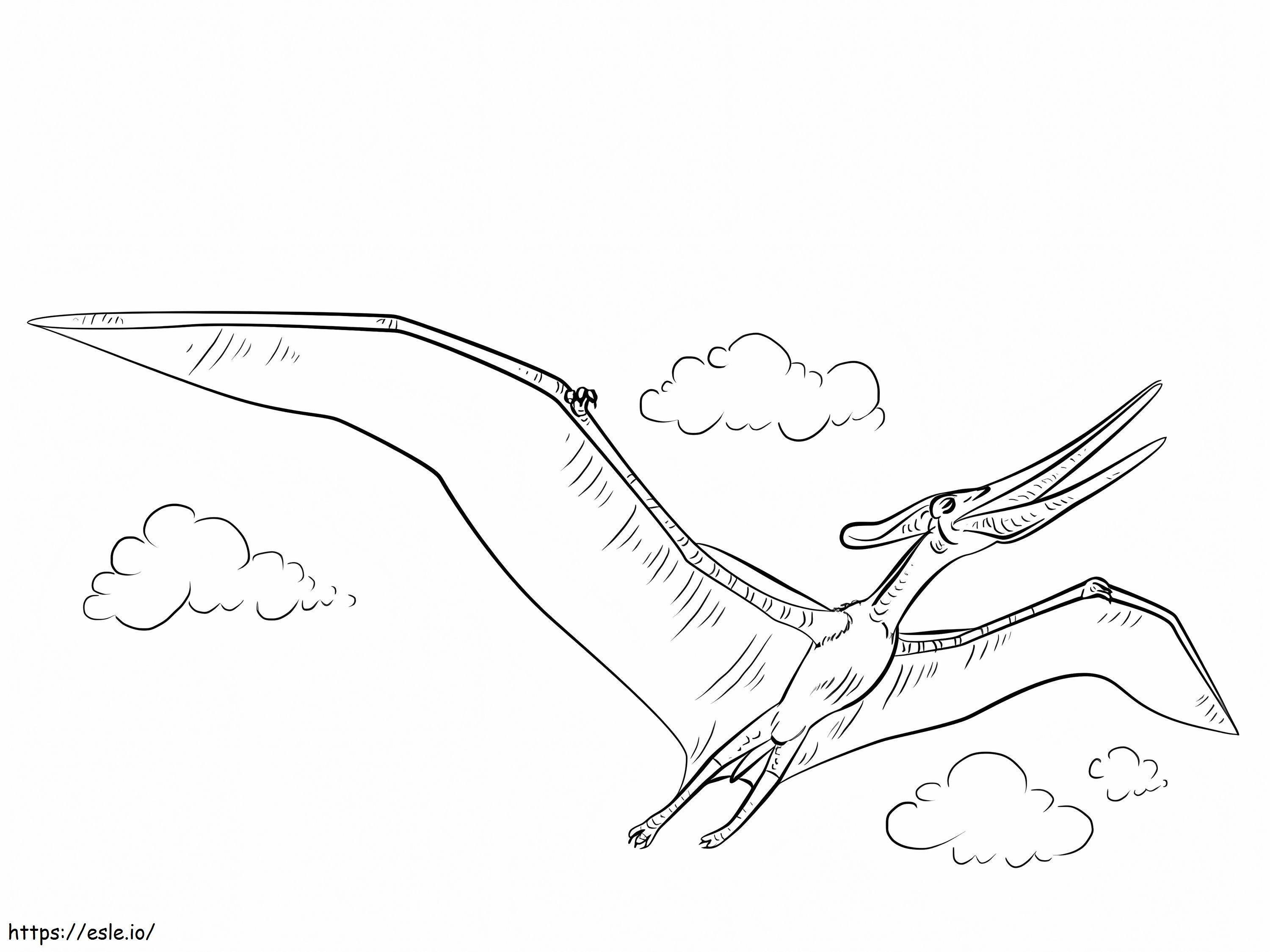 Pteranodon 1024X768 värityskuva
