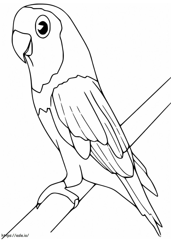 Adorable Parakeet coloring page