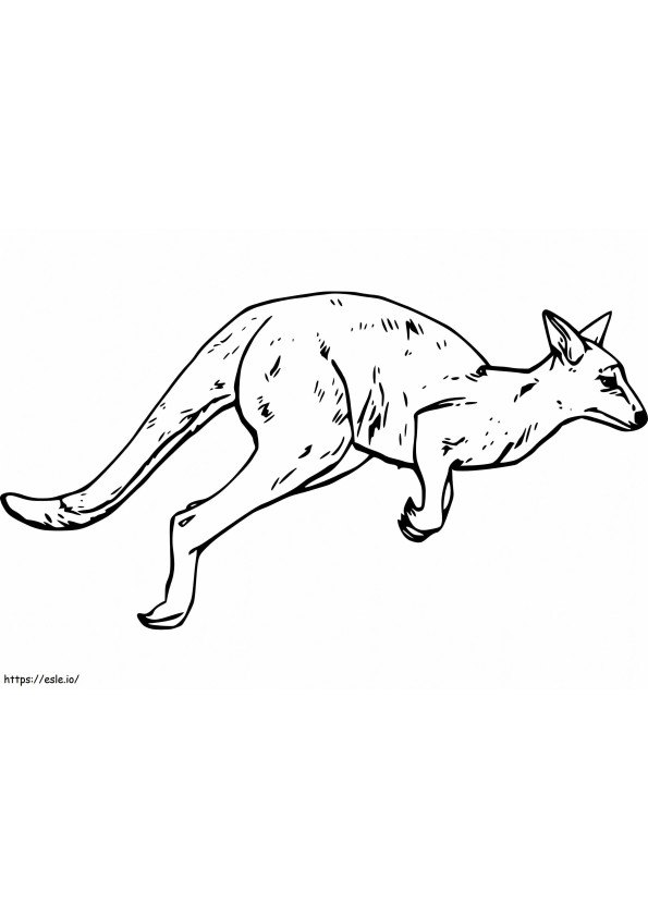 Wallaby ilmainen värityskuva