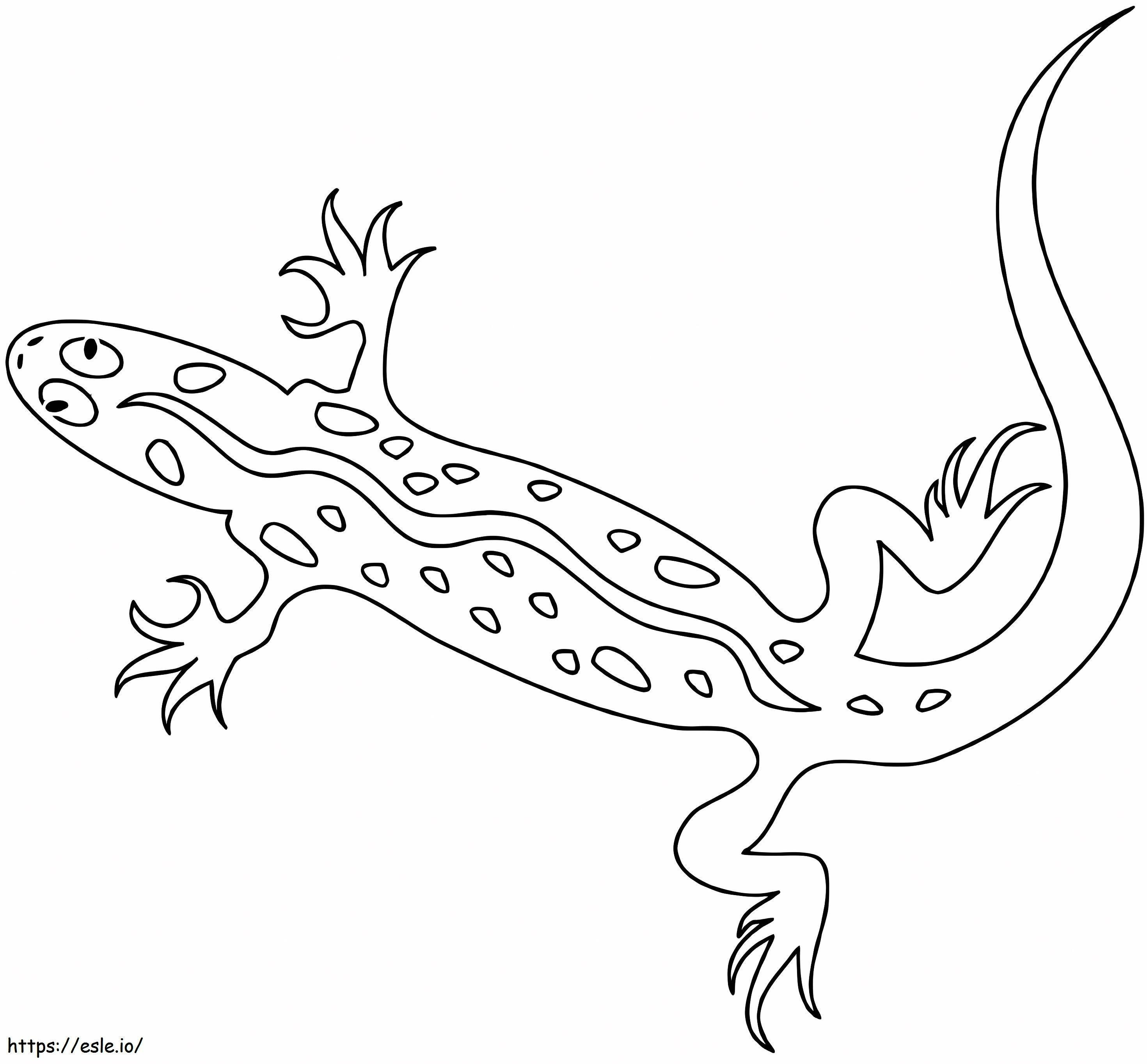 Lizard 1 coloring page