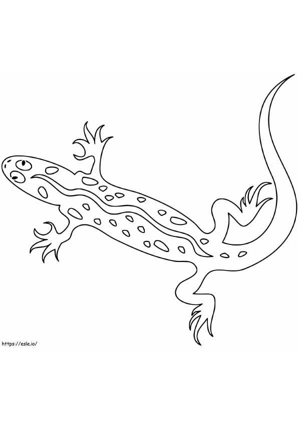 Lizard 1 coloring page