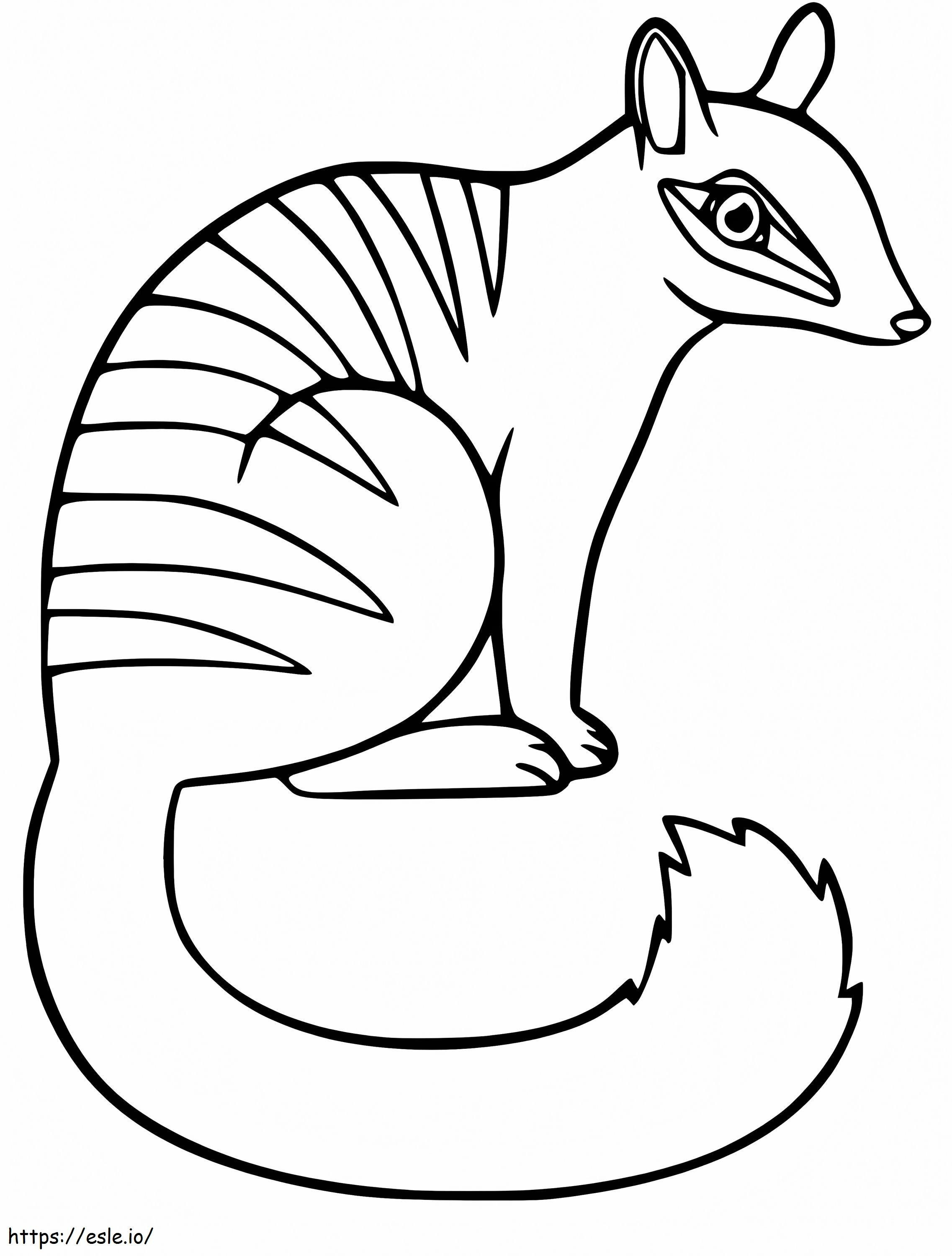Adorable Numbat coloring page