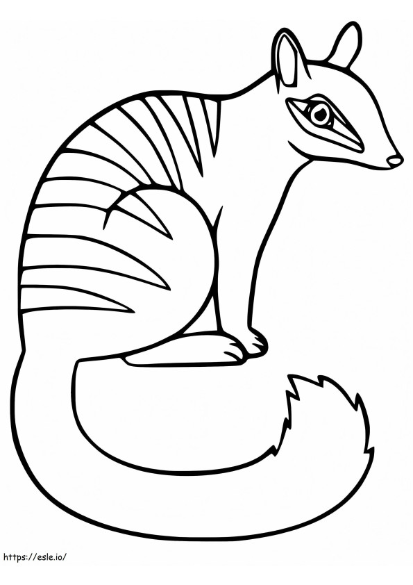 Adorable Numbat coloring page