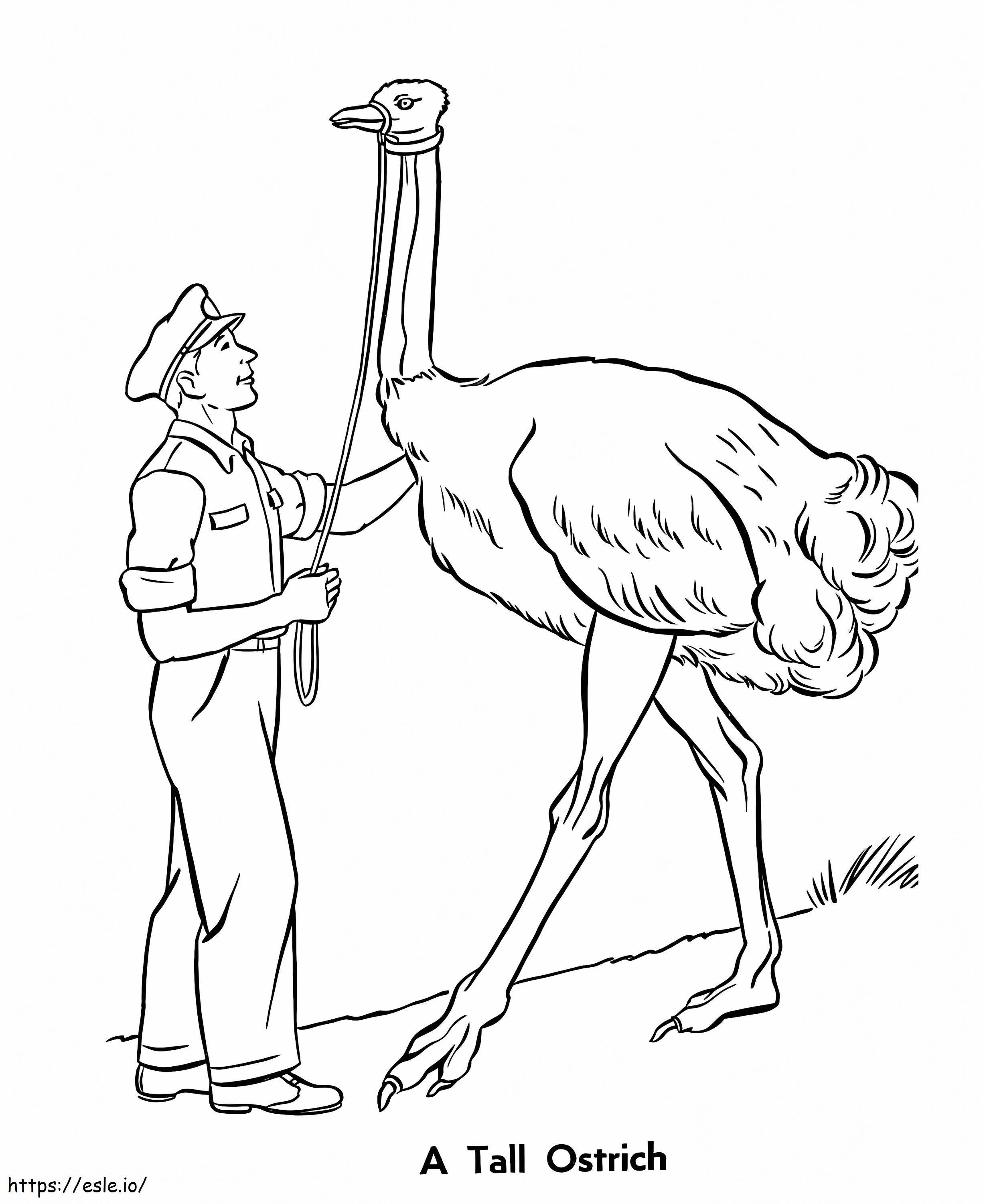 avestruz alto para colorear