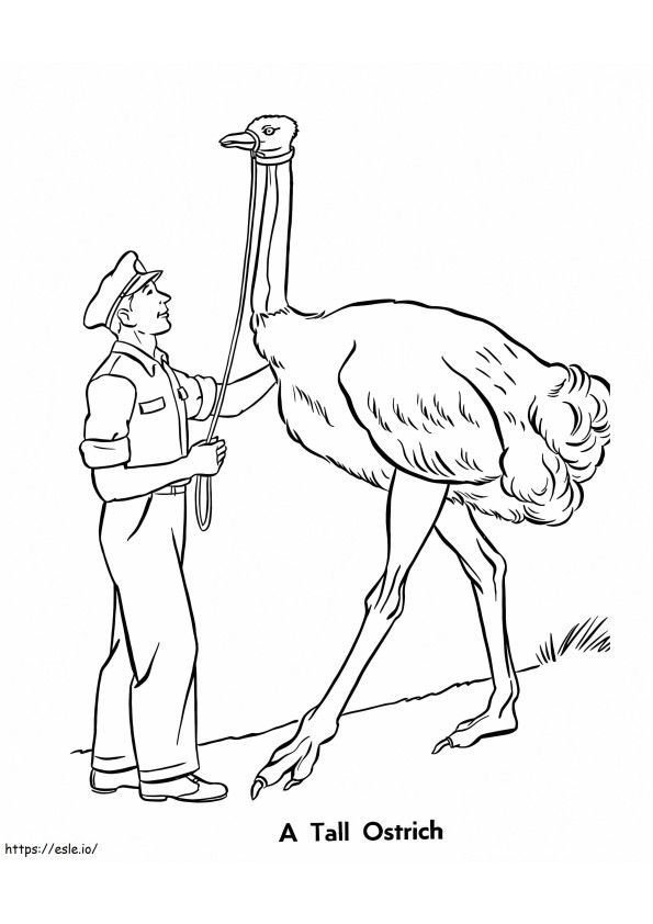 avestruz alto para colorear