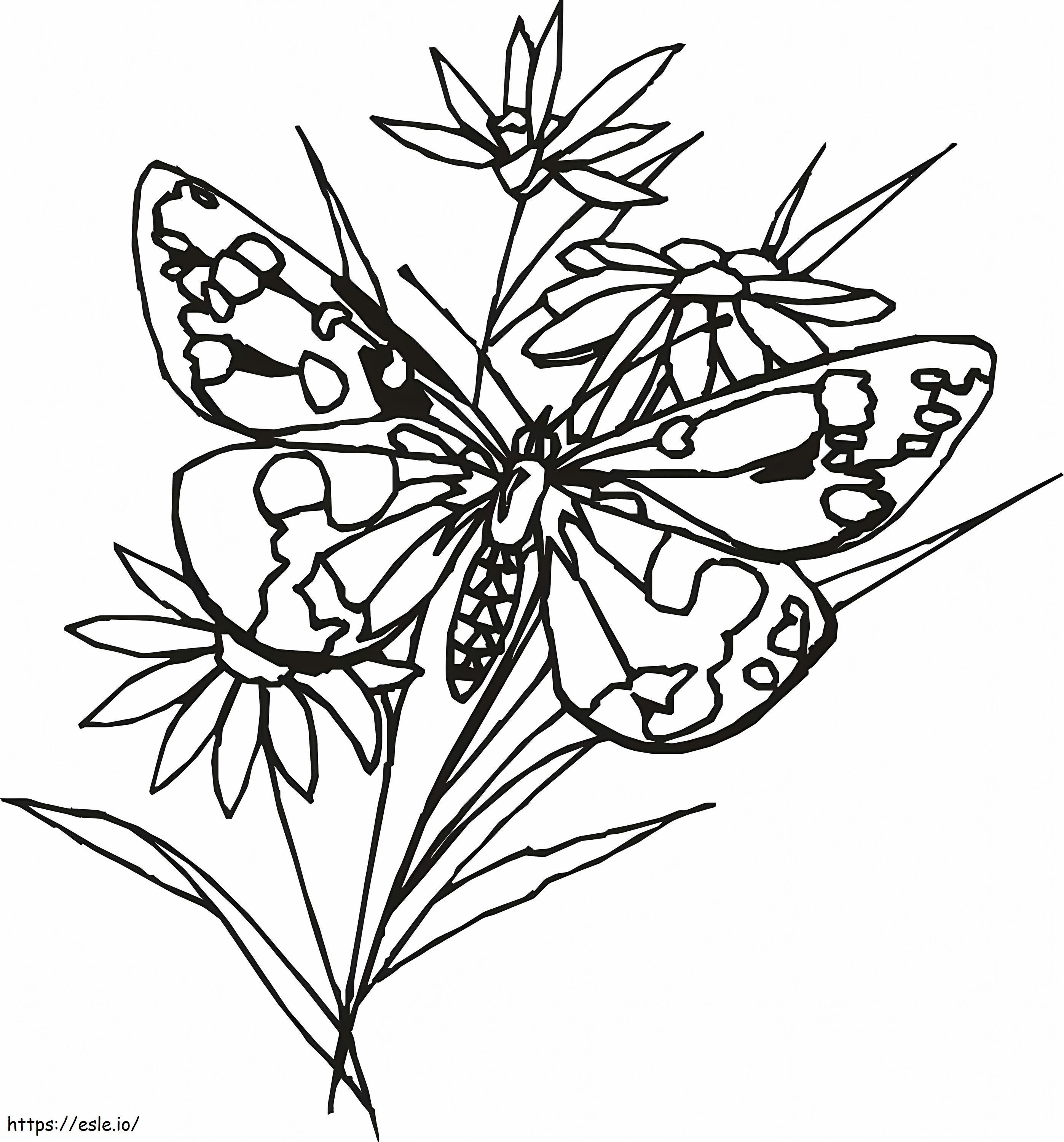 Papillon 1 1 coloring page