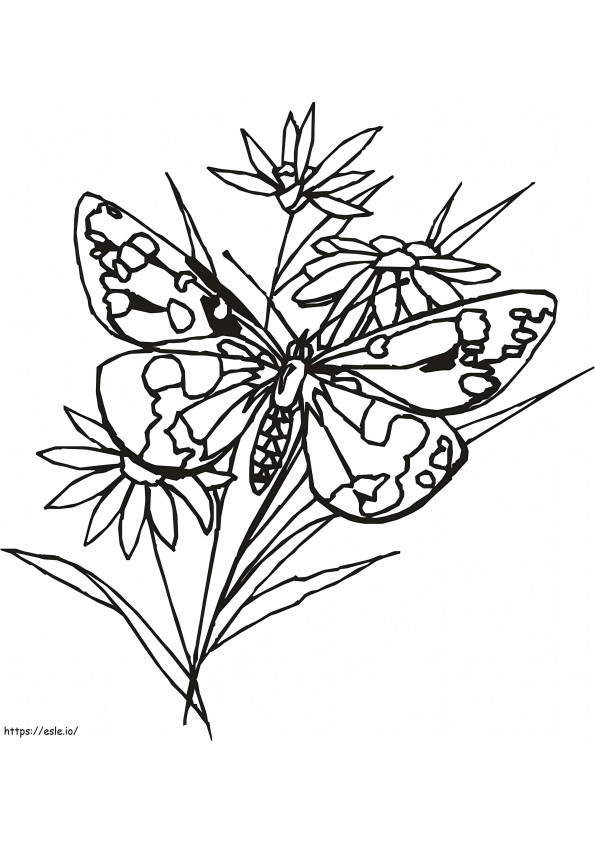 Coloriage Papillon 1 1 à imprimer dessin