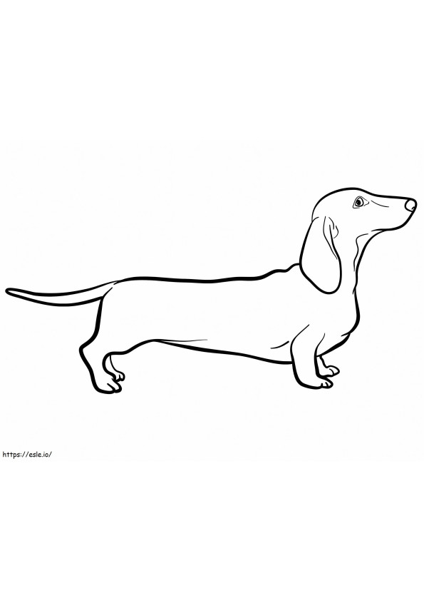 Coloriage Un chien teckel à imprimer dessin