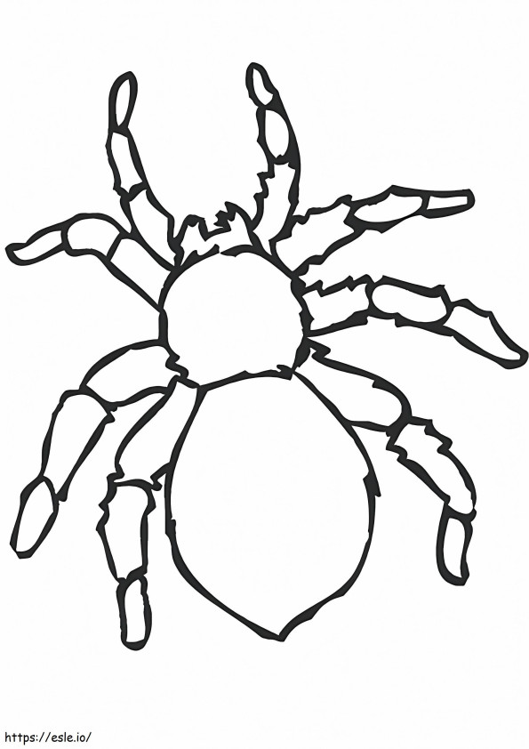 Coloriage Super araignée à imprimer dessin