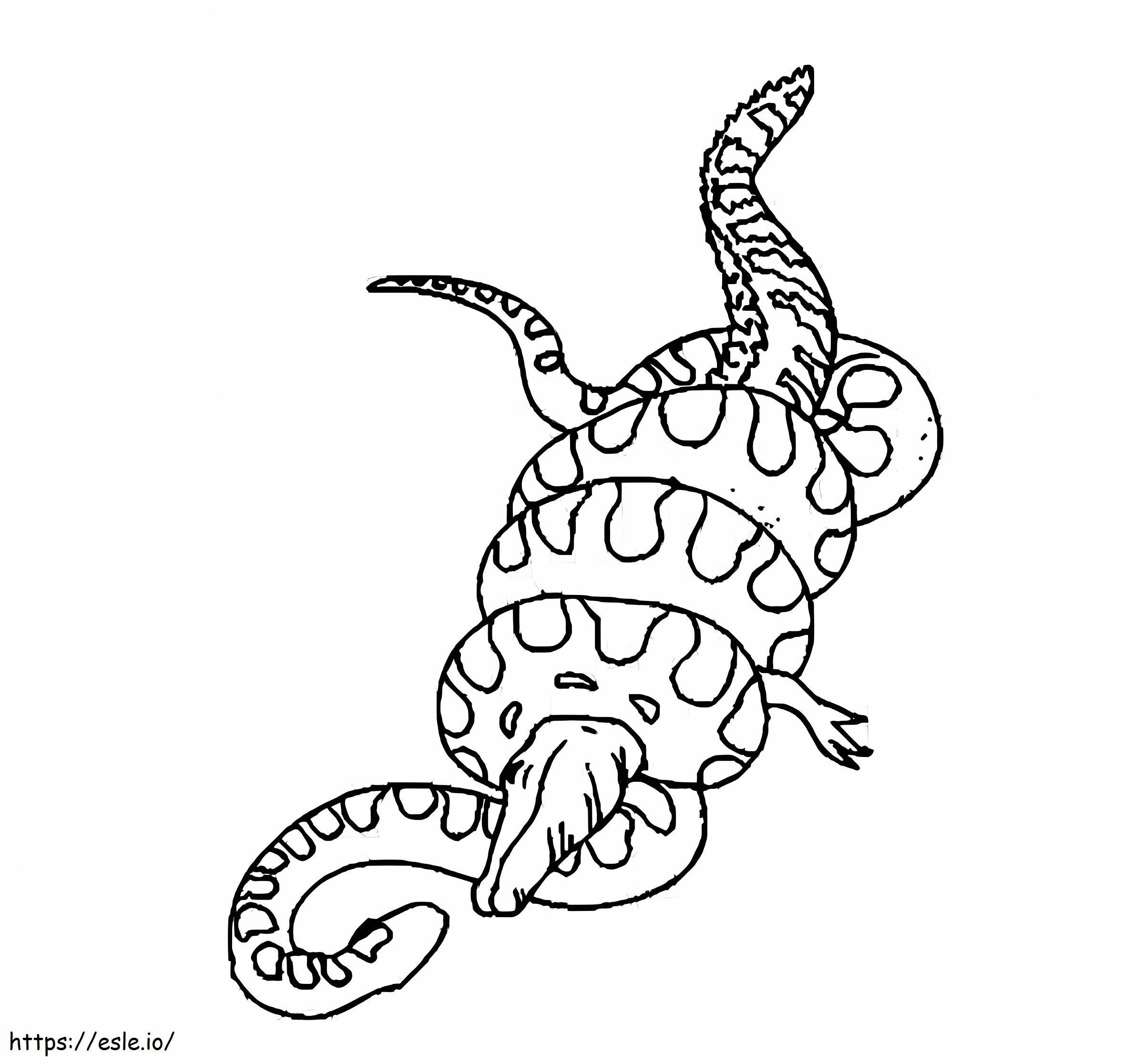 Coloriage Python contre. Crocodile à imprimer dessin