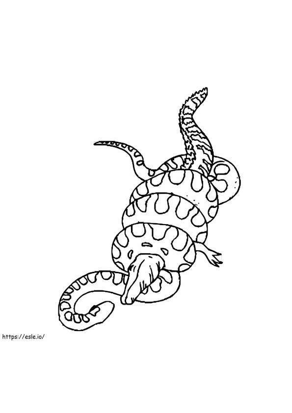 Coloriage Python contre. Crocodile à imprimer dessin
