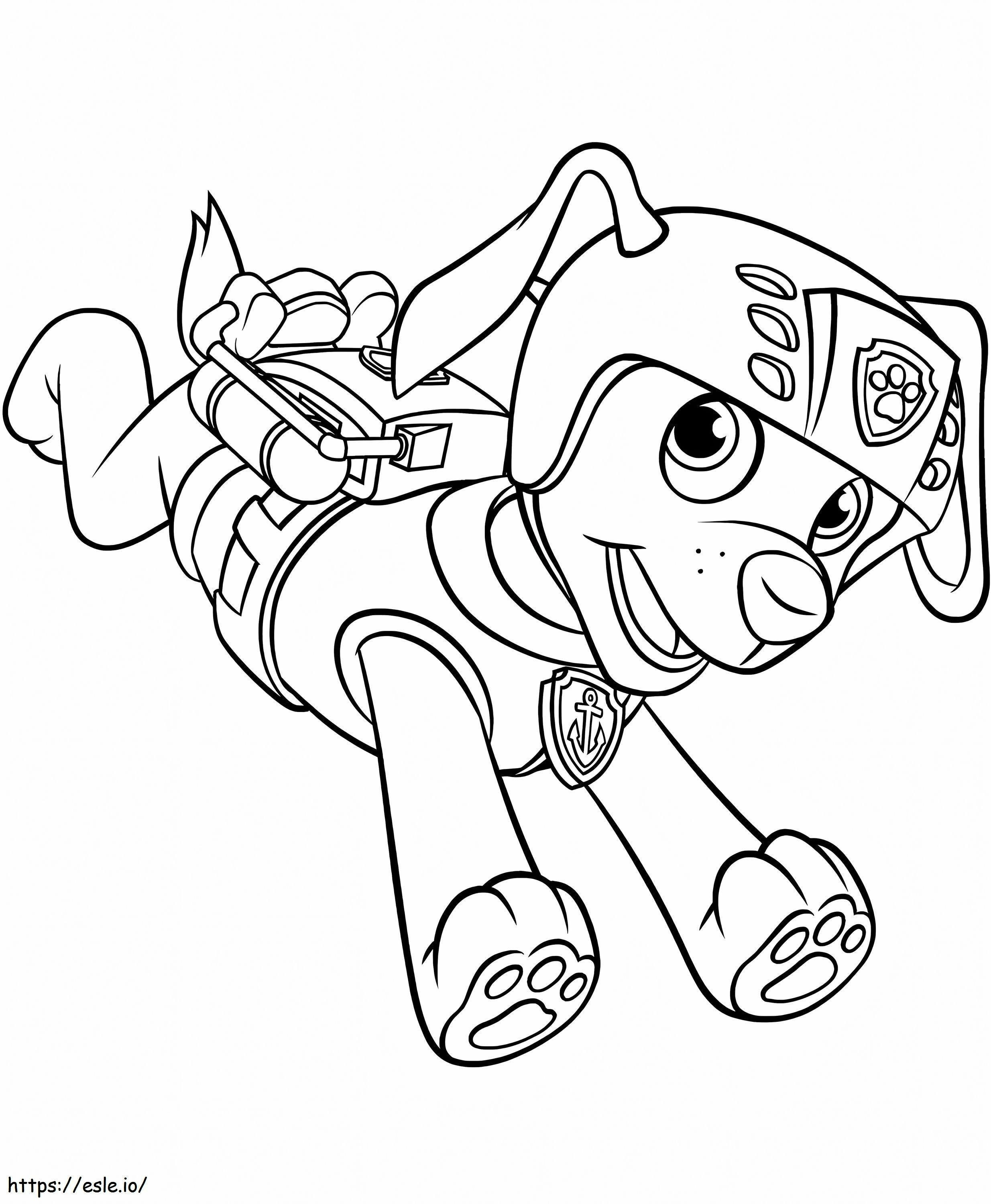 1565658991 Zuma Running A4 coloring page
