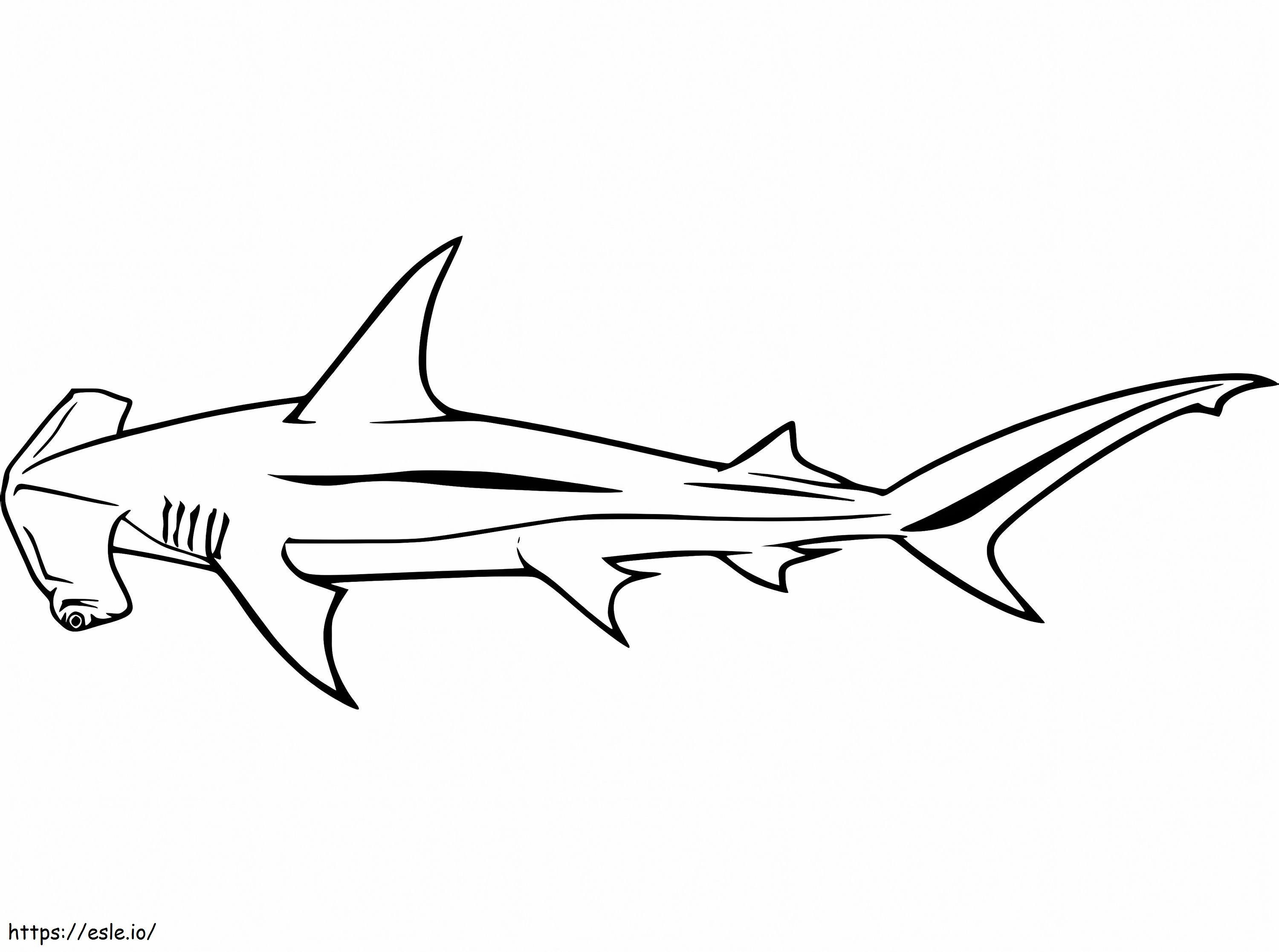 Hammerhead Shark 4 coloring page