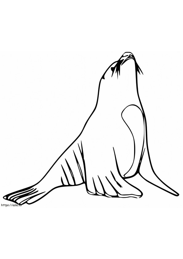 Coloriage Lion de mer 1 à imprimer dessin