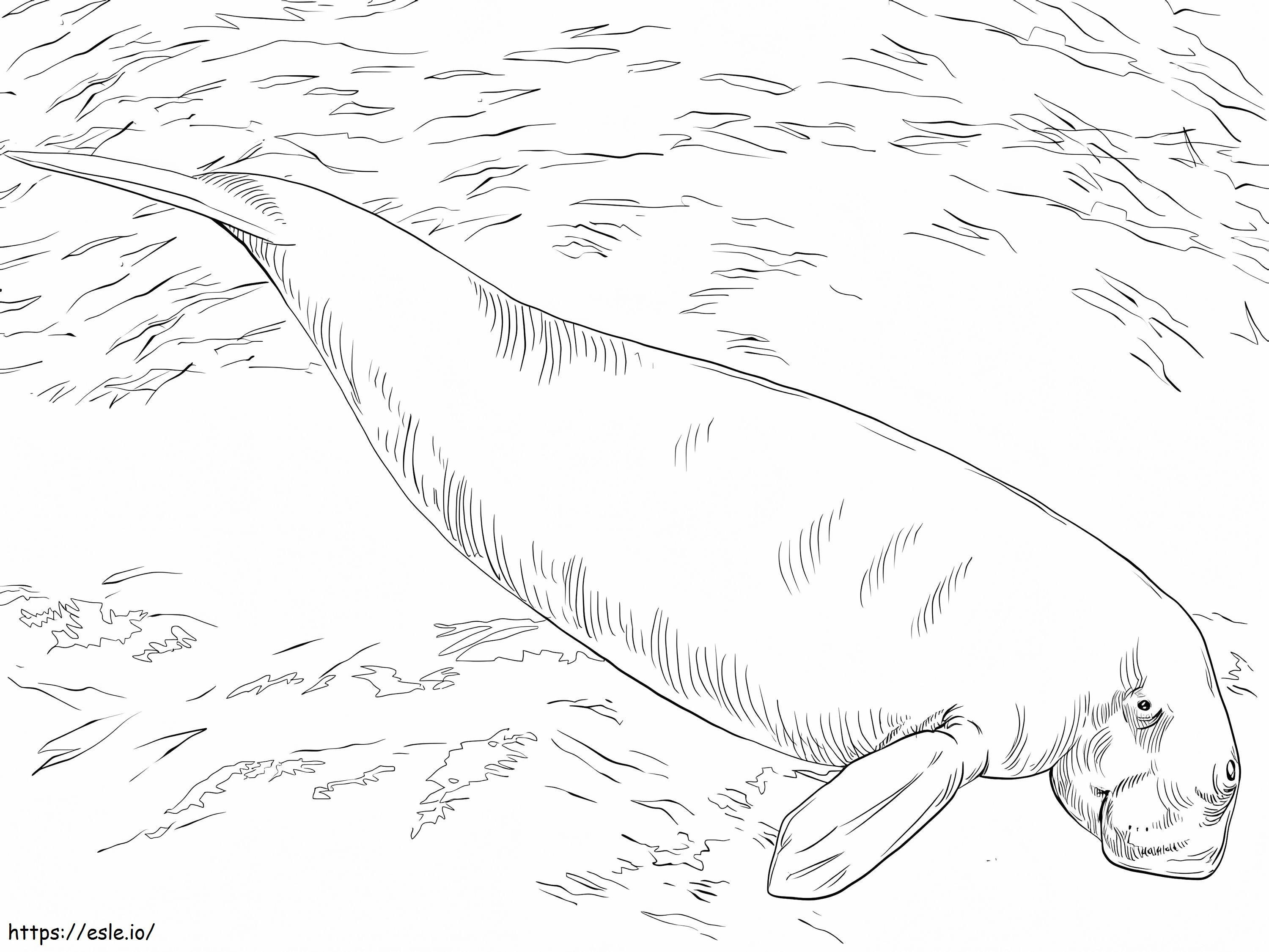 Dugong Under Water coloring page