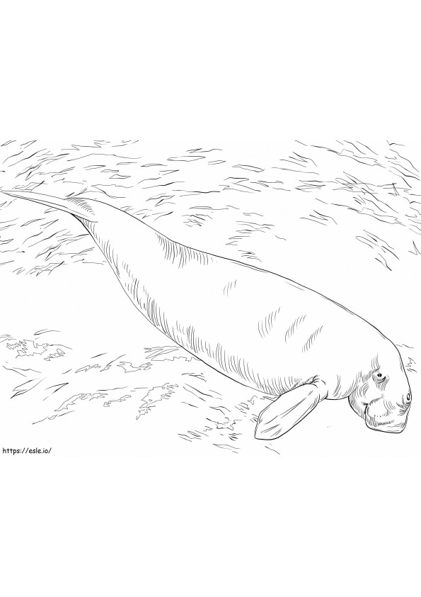 Dugong Under Water coloring page