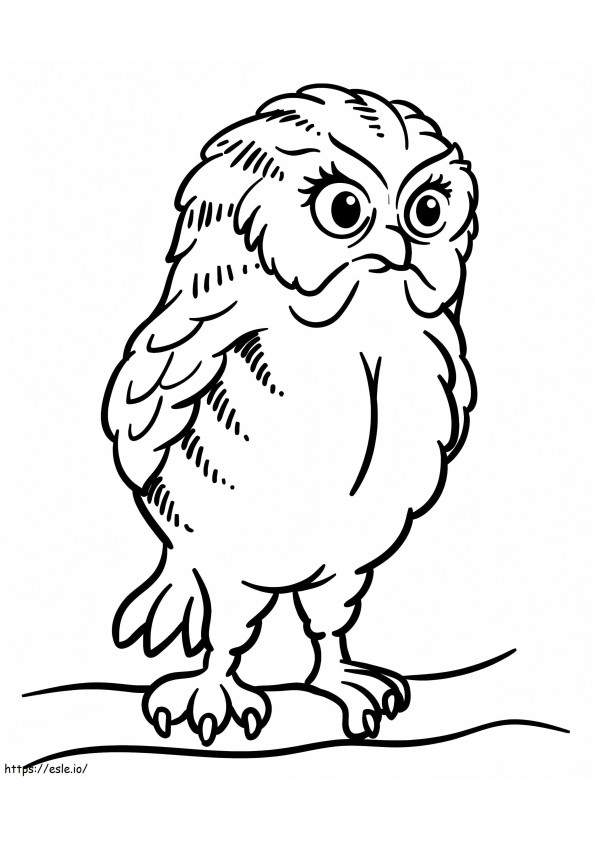 Owl Printable coloring page