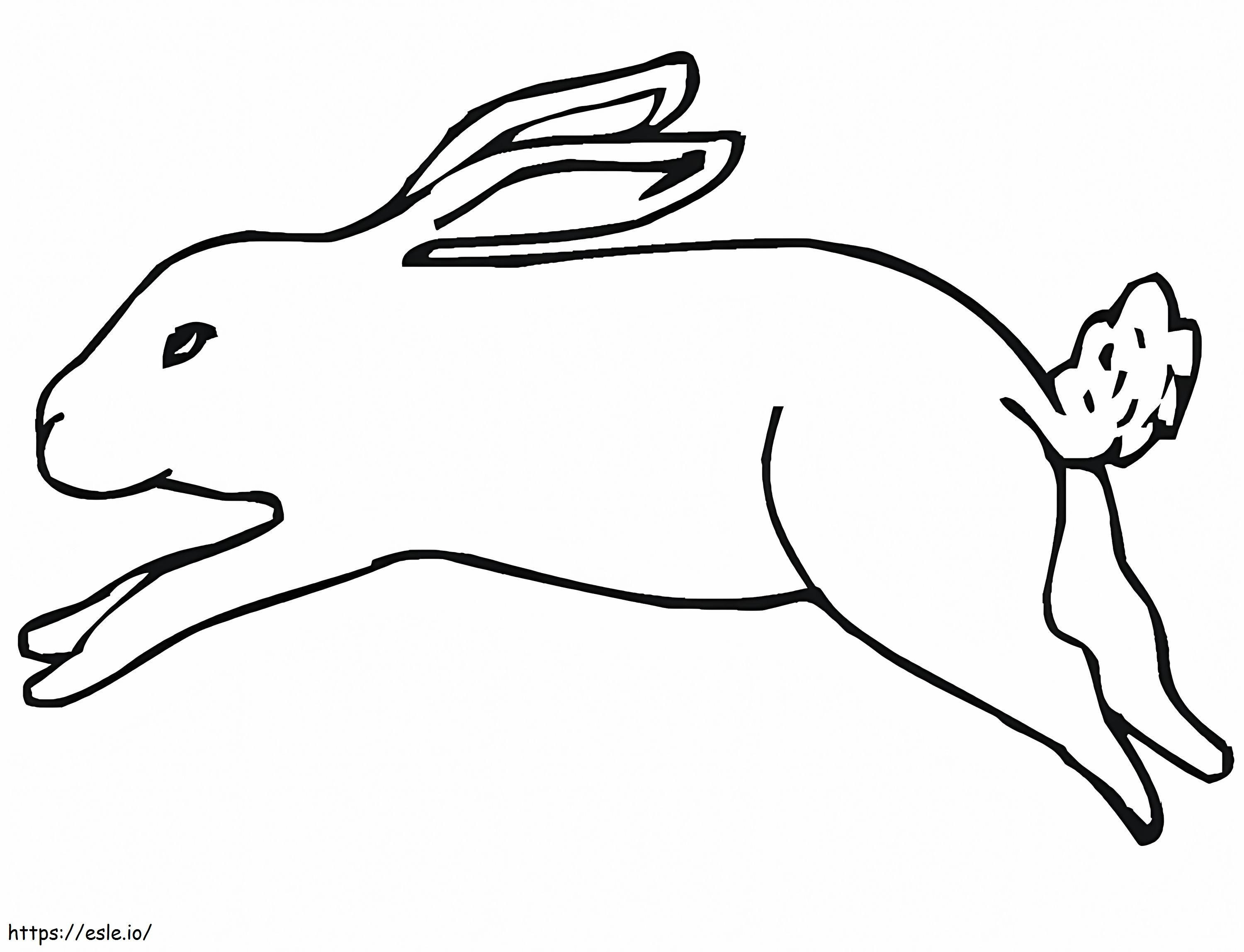 Juoksemassa Jack Rabbit värityskuva