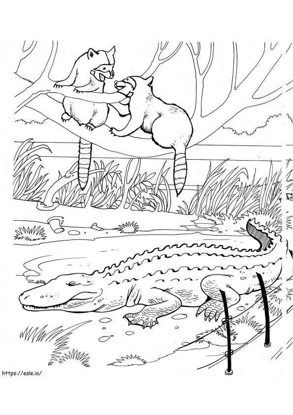 Coloriage Ratons laveurs et alligator dans un zoo à imprimer dessin