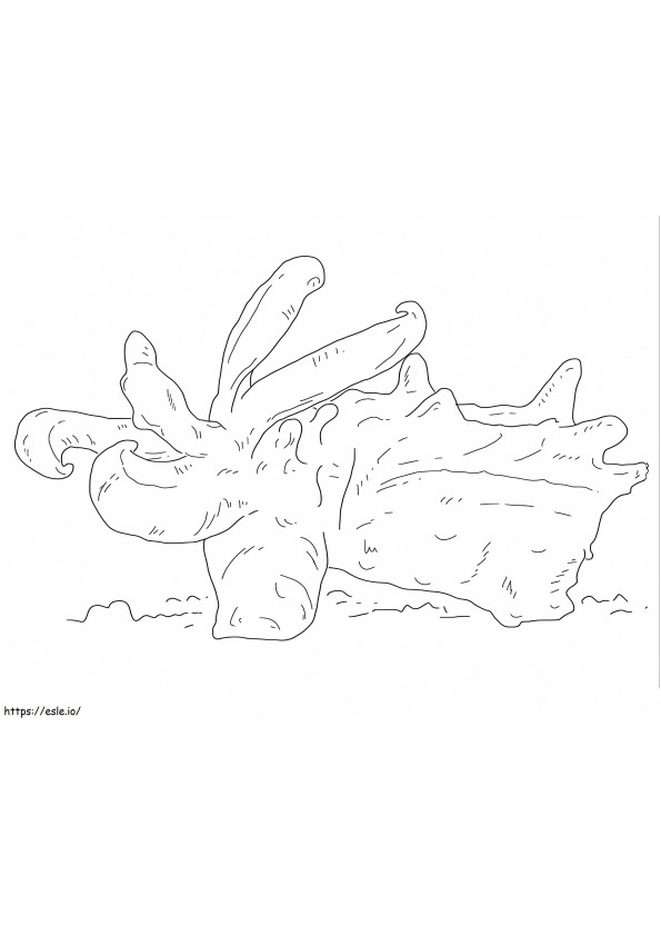 Flamboyant Cuttlefish coloring page