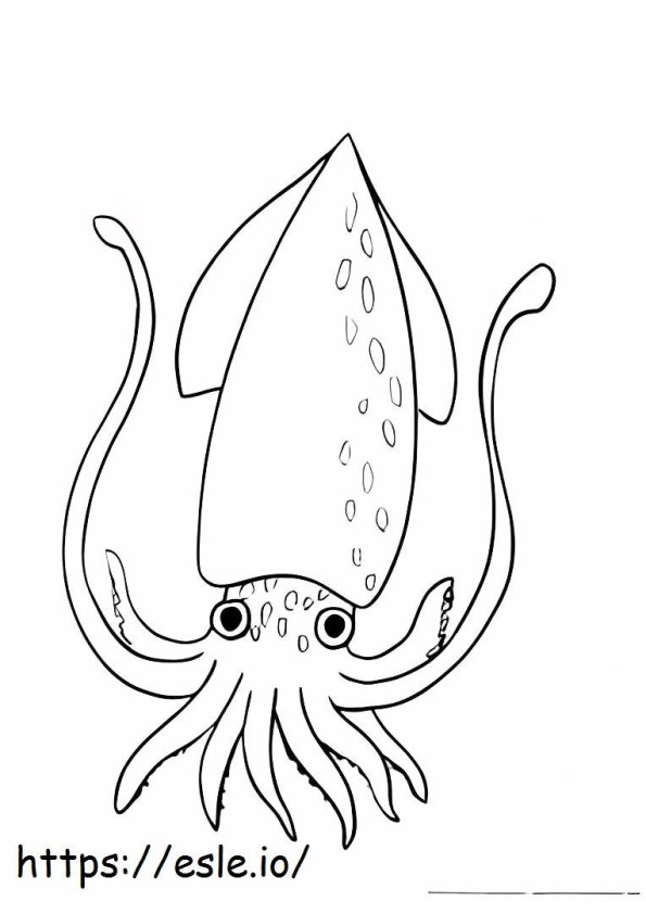 Normal Squid coloring page
