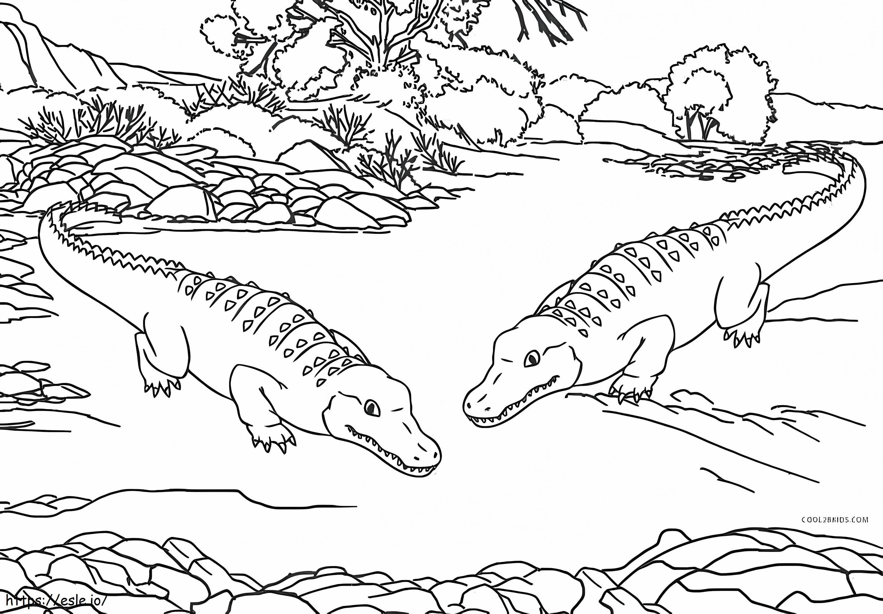 Dois crocodilos para colorir