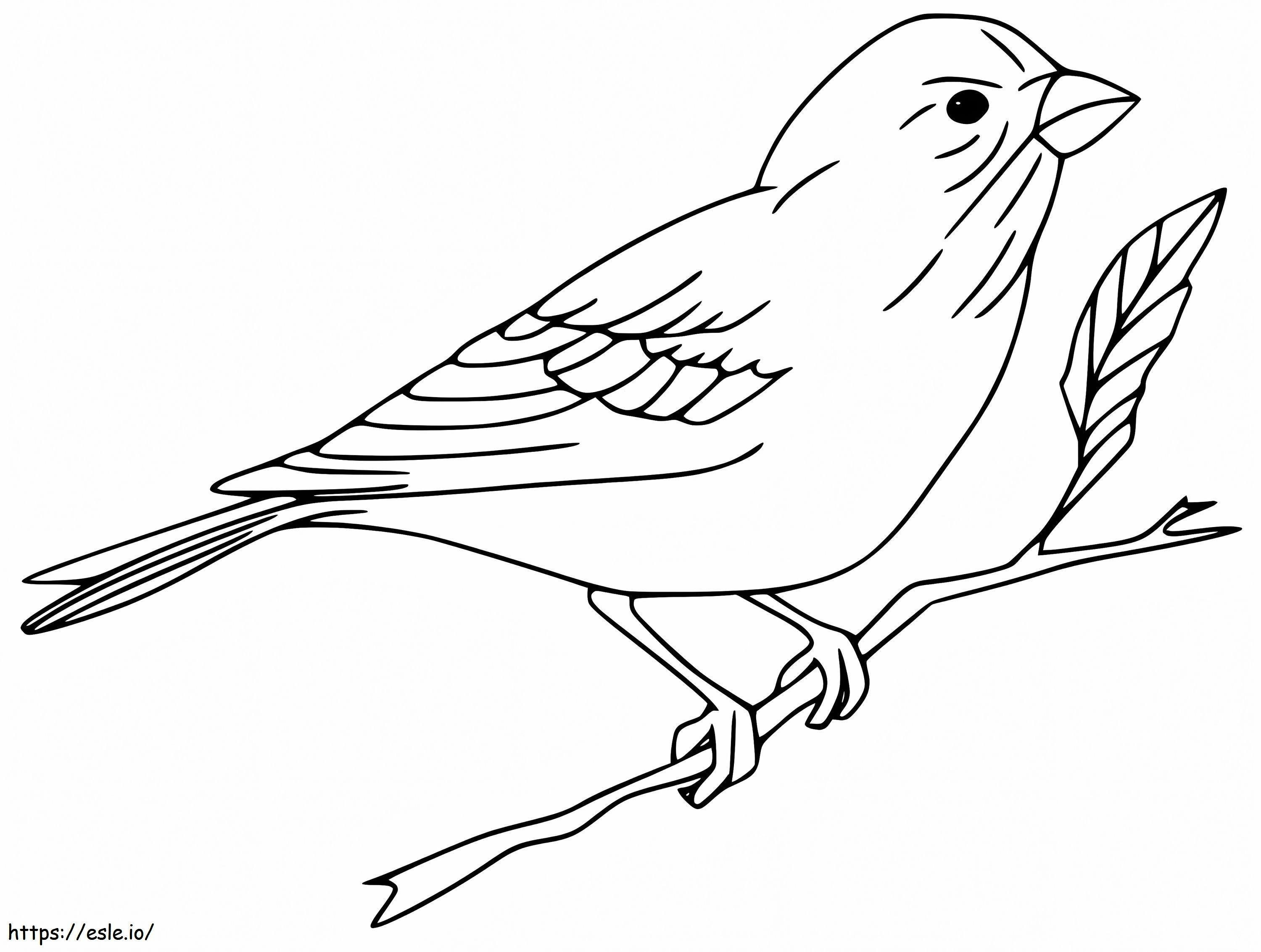 Sparrow 1 coloring page
