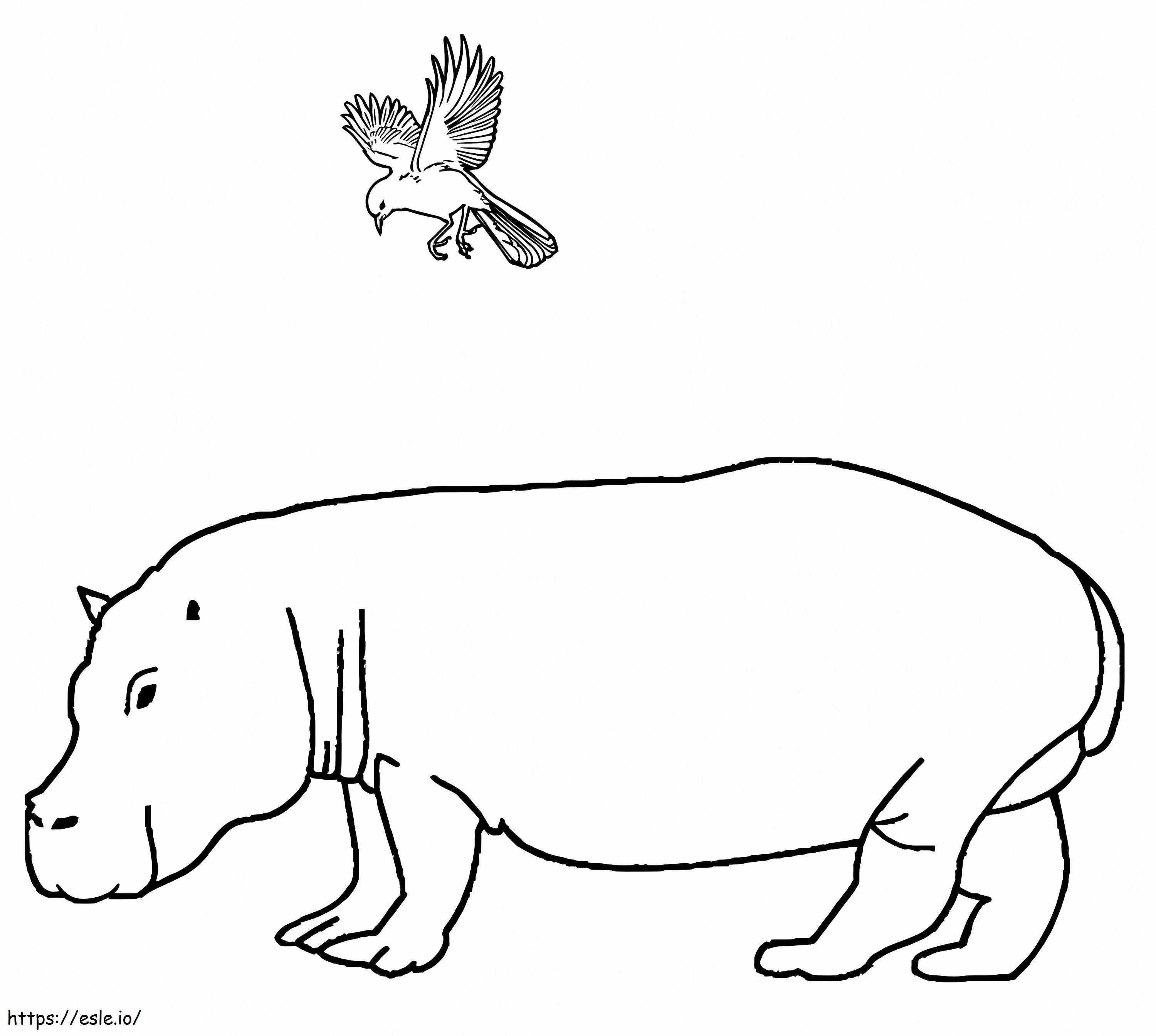 Coloriage Hippopotame et oiseau à imprimer dessin
