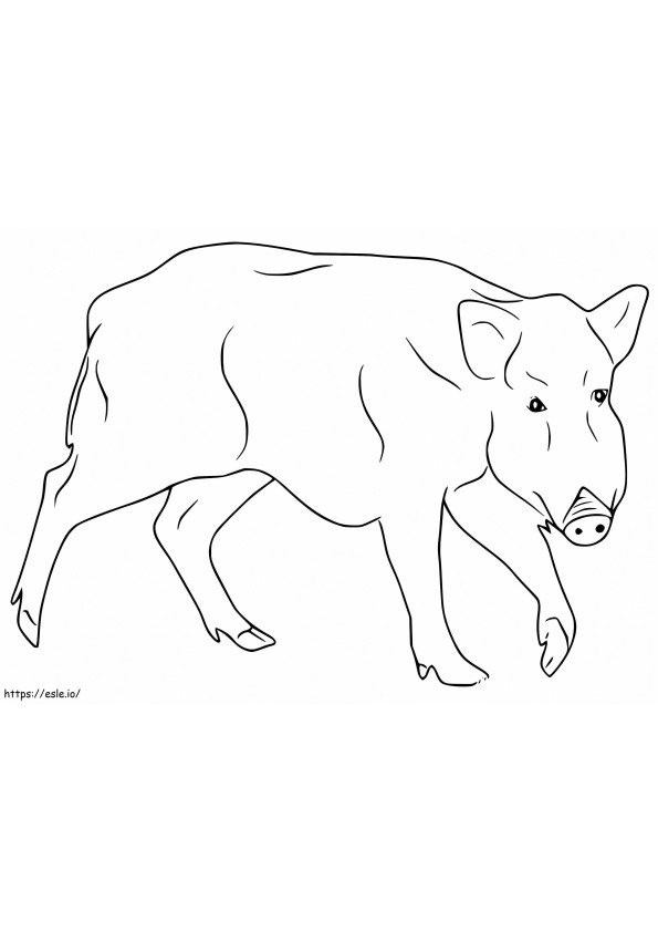 Female Boar coloring page