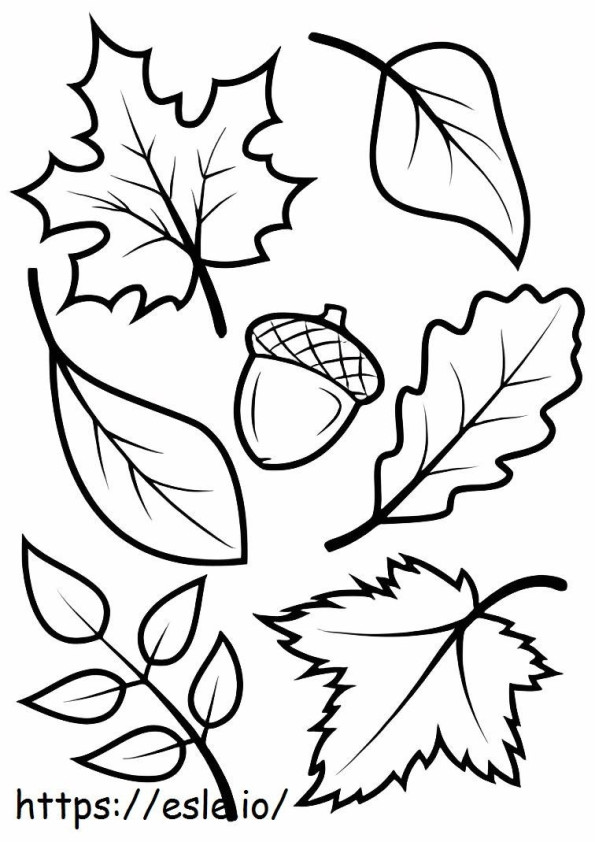 Herbstblätter und Eichel 1 ausmalbilder