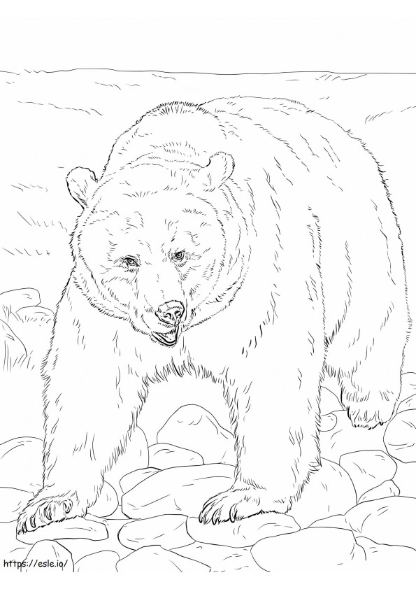 Urso marrom para colorir