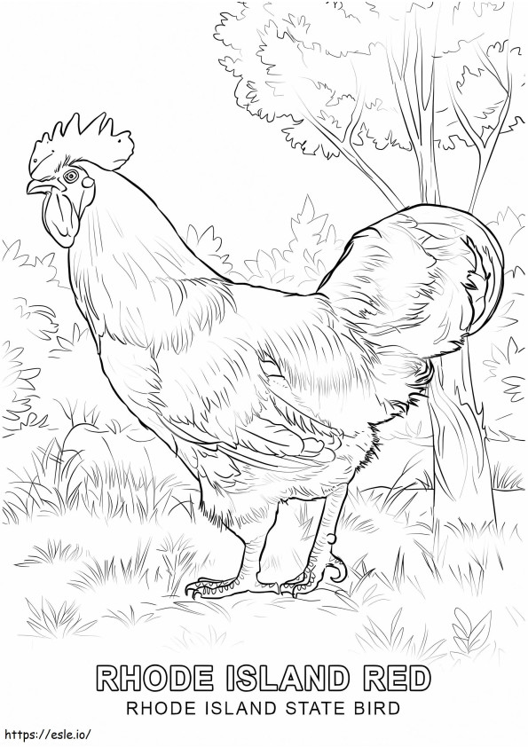 Rhode Island State Red Chicken coloring page