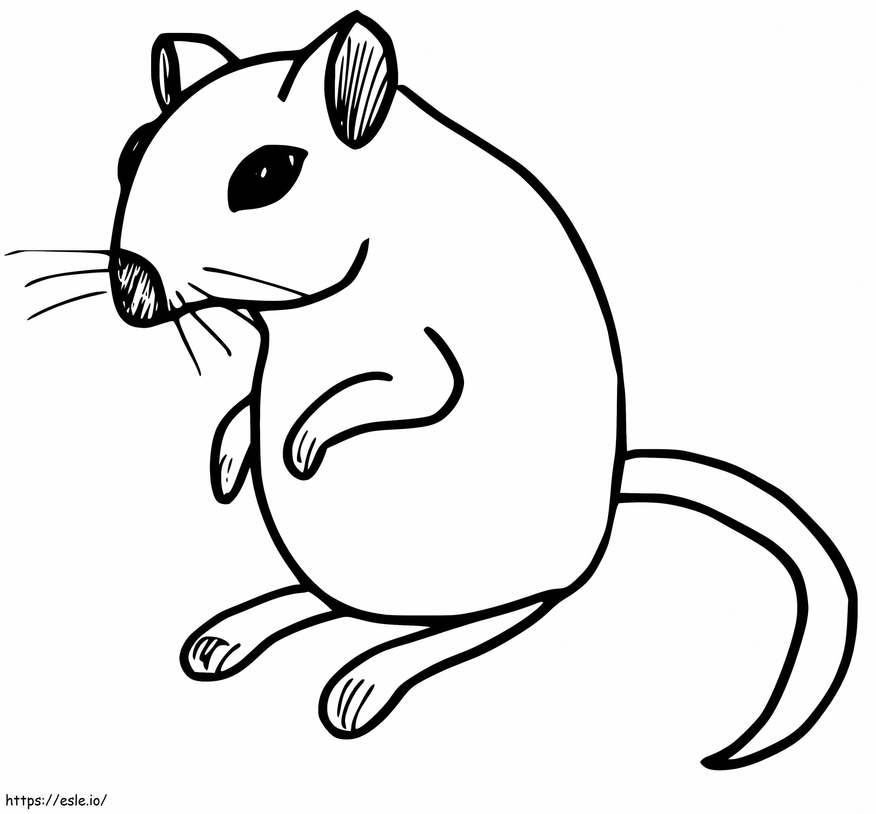 Coloriage Rat à imprimer à imprimer dessin