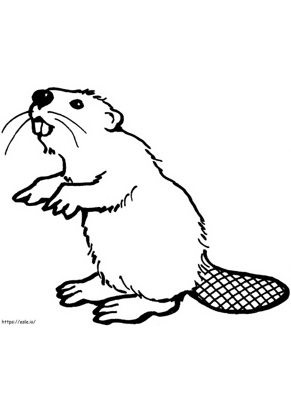 Beaver Drawing coloring page