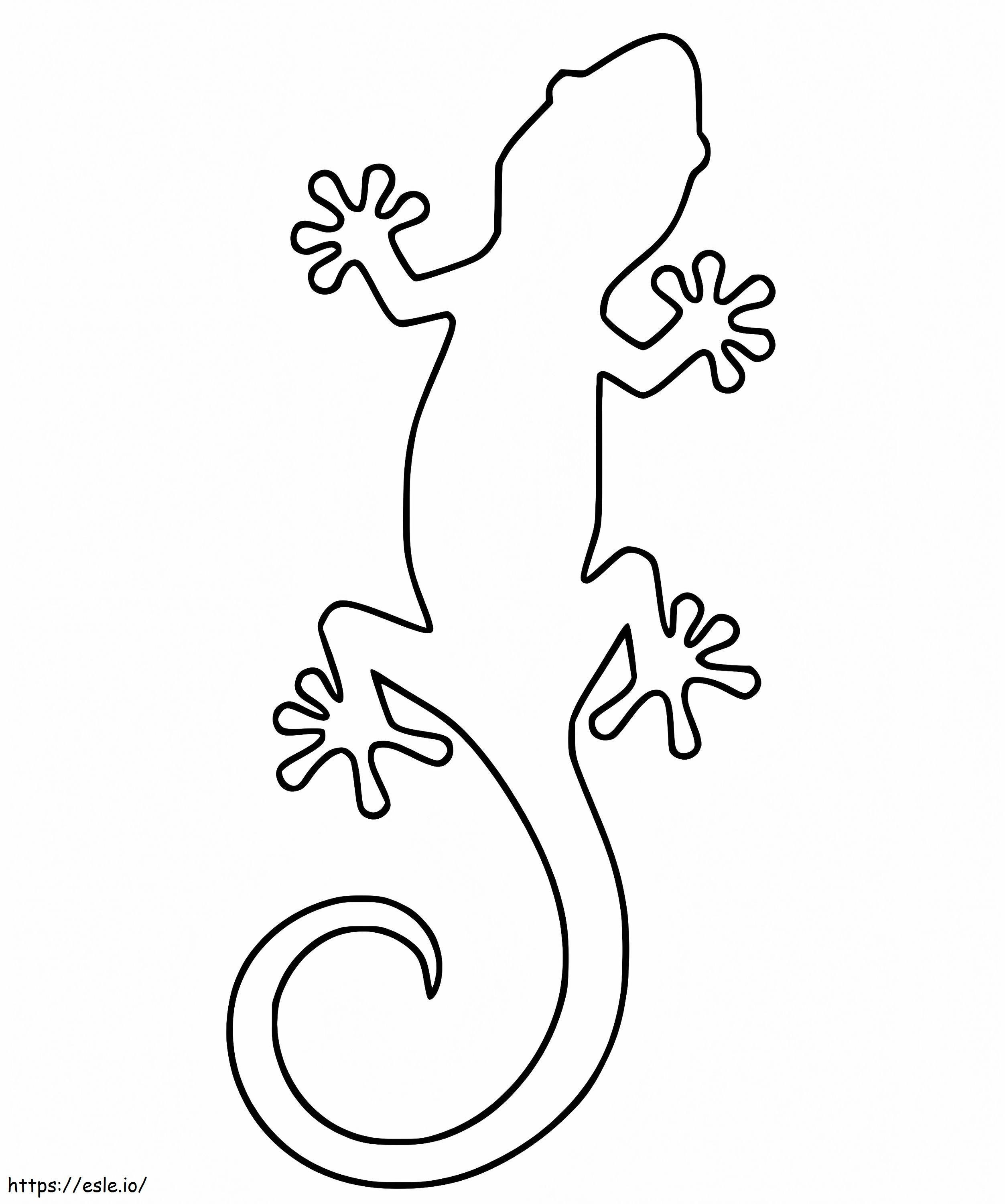 Newt Outline coloring page