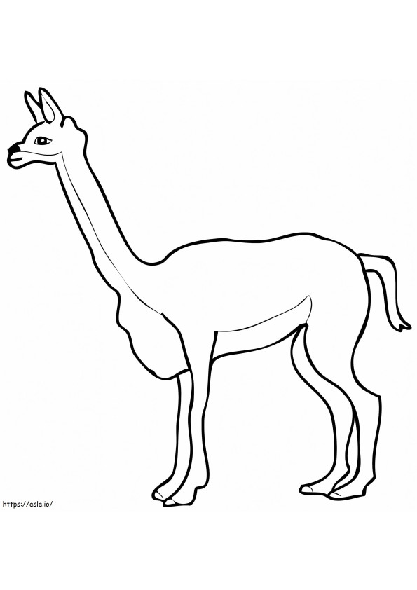 Free Vicuna coloring page