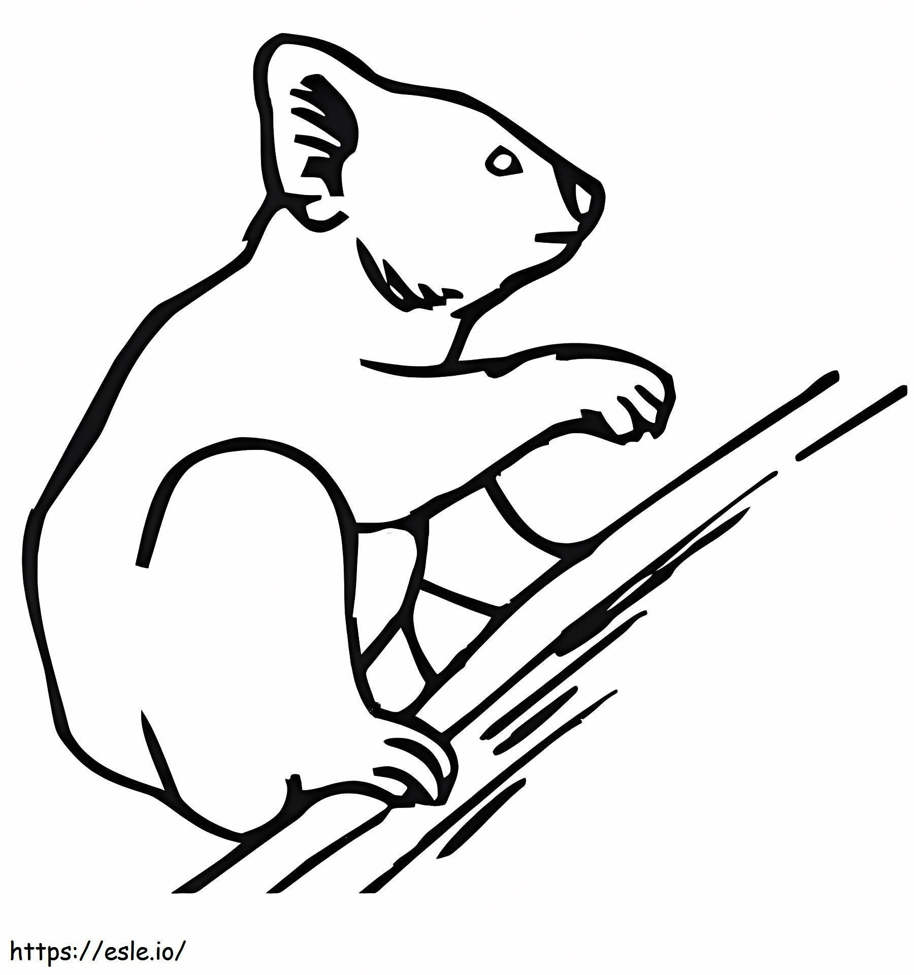 Koala Climbing Drawing coloring page