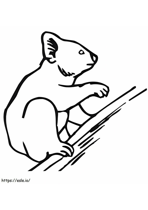 Desenho de escalada de coala para colorir