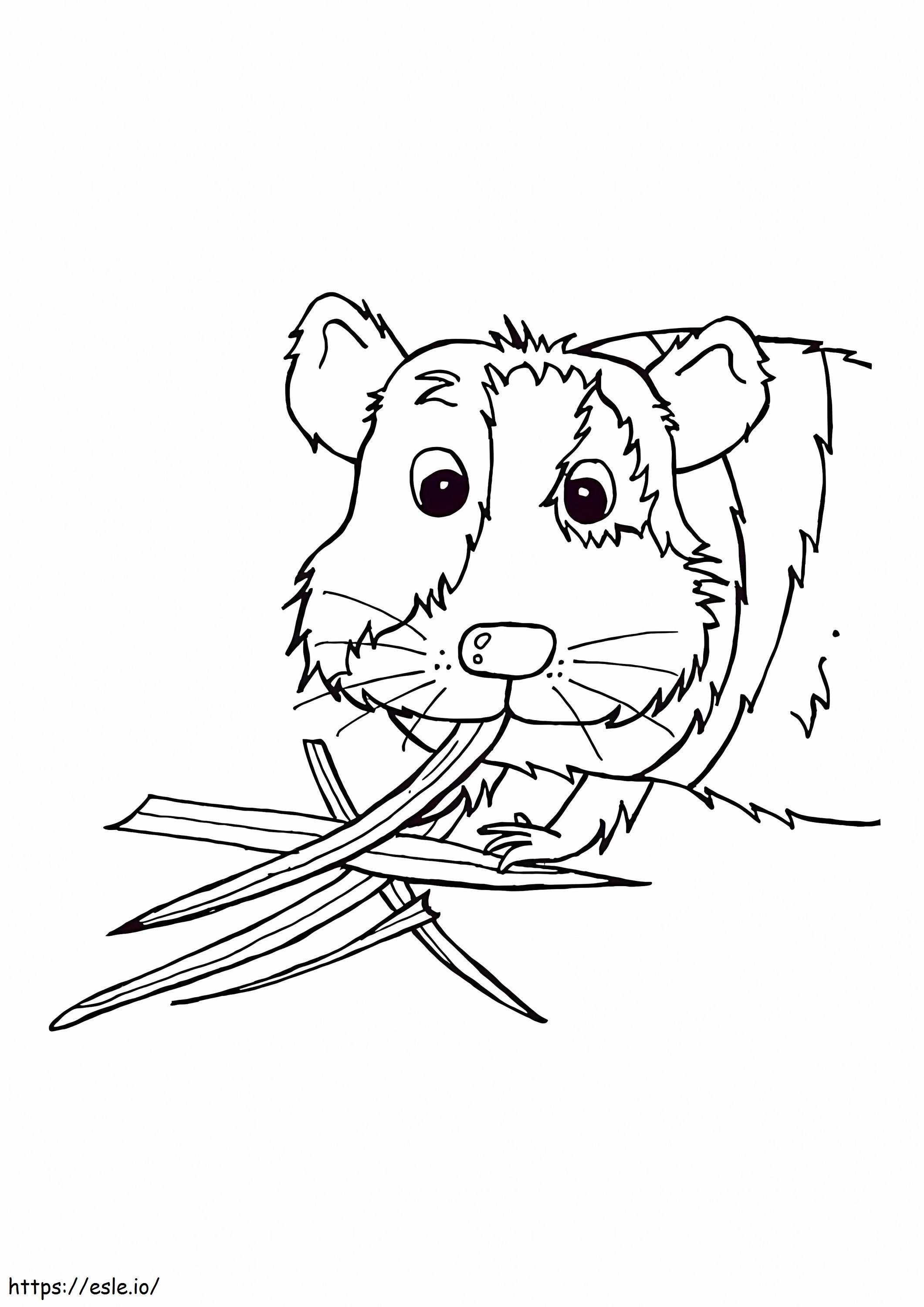 Guinea Pig Is Eating coloring page