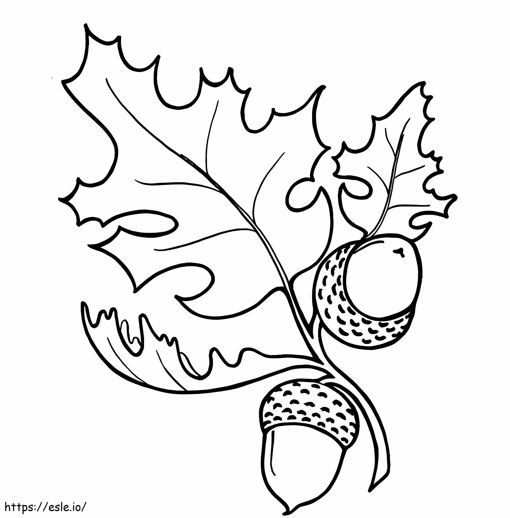 Two Acorn With Leaf coloring page