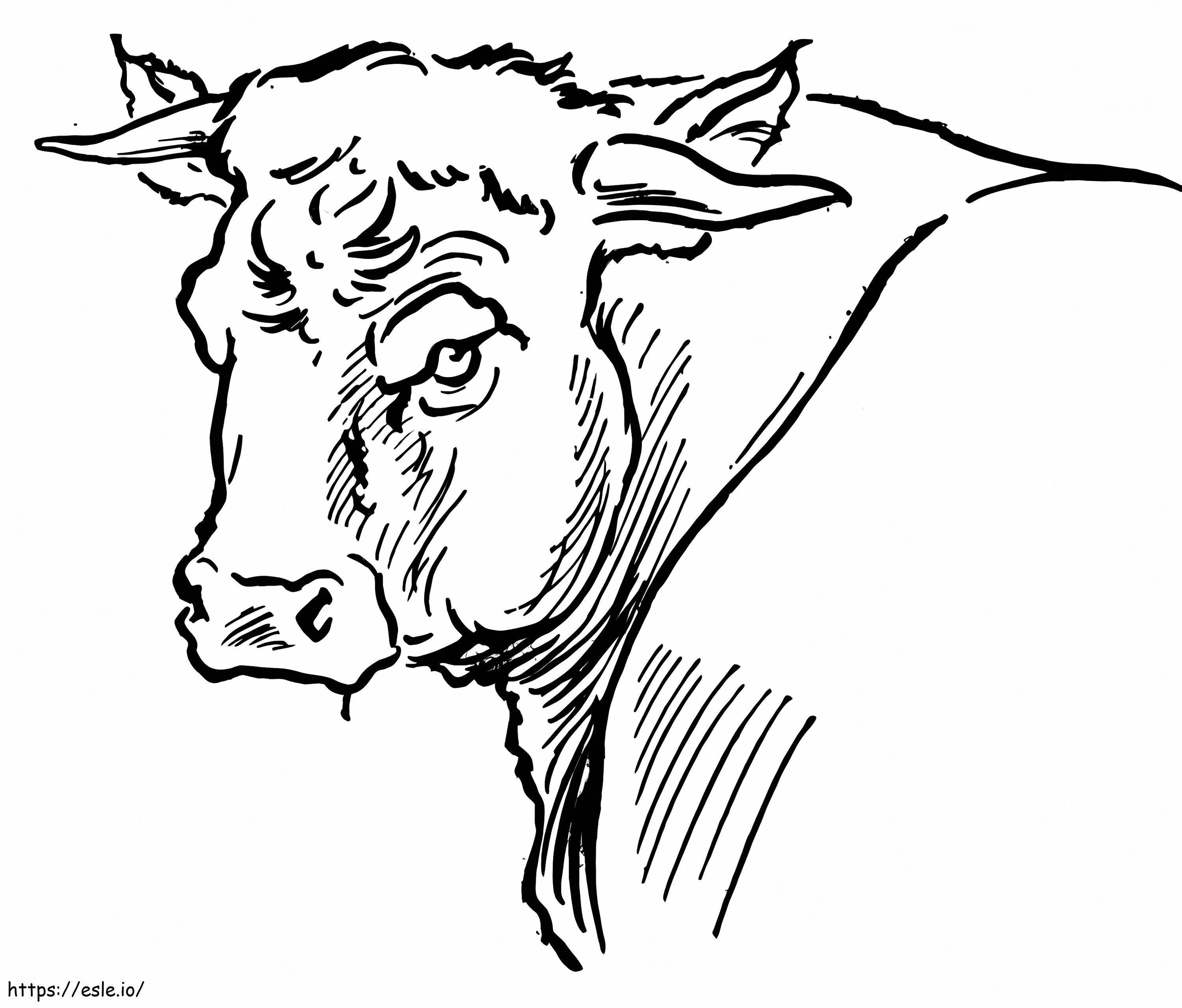 Coloriage Portrait de taureau à imprimer dessin