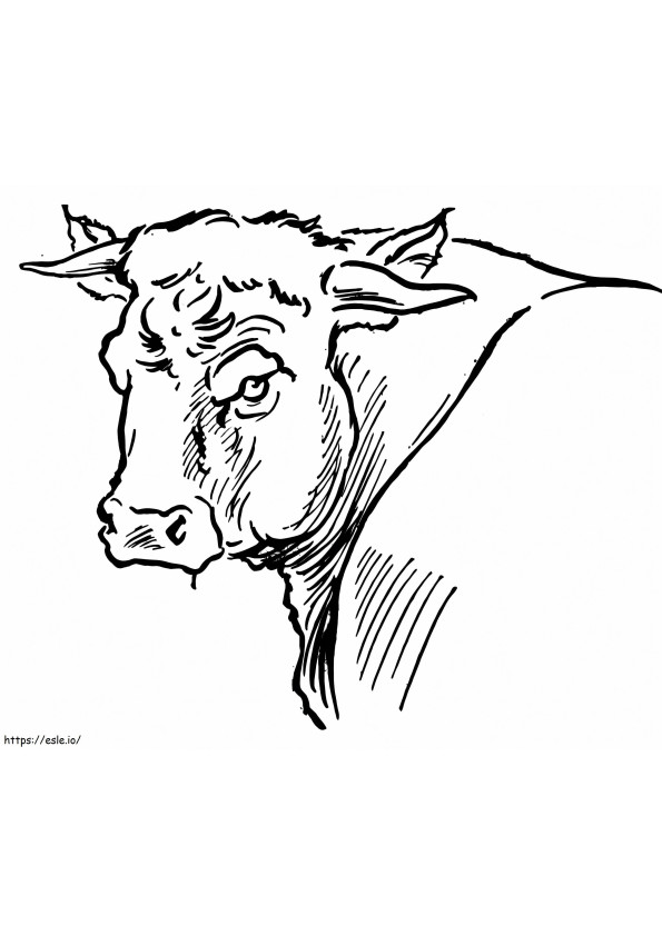 Bull Portrait coloring page